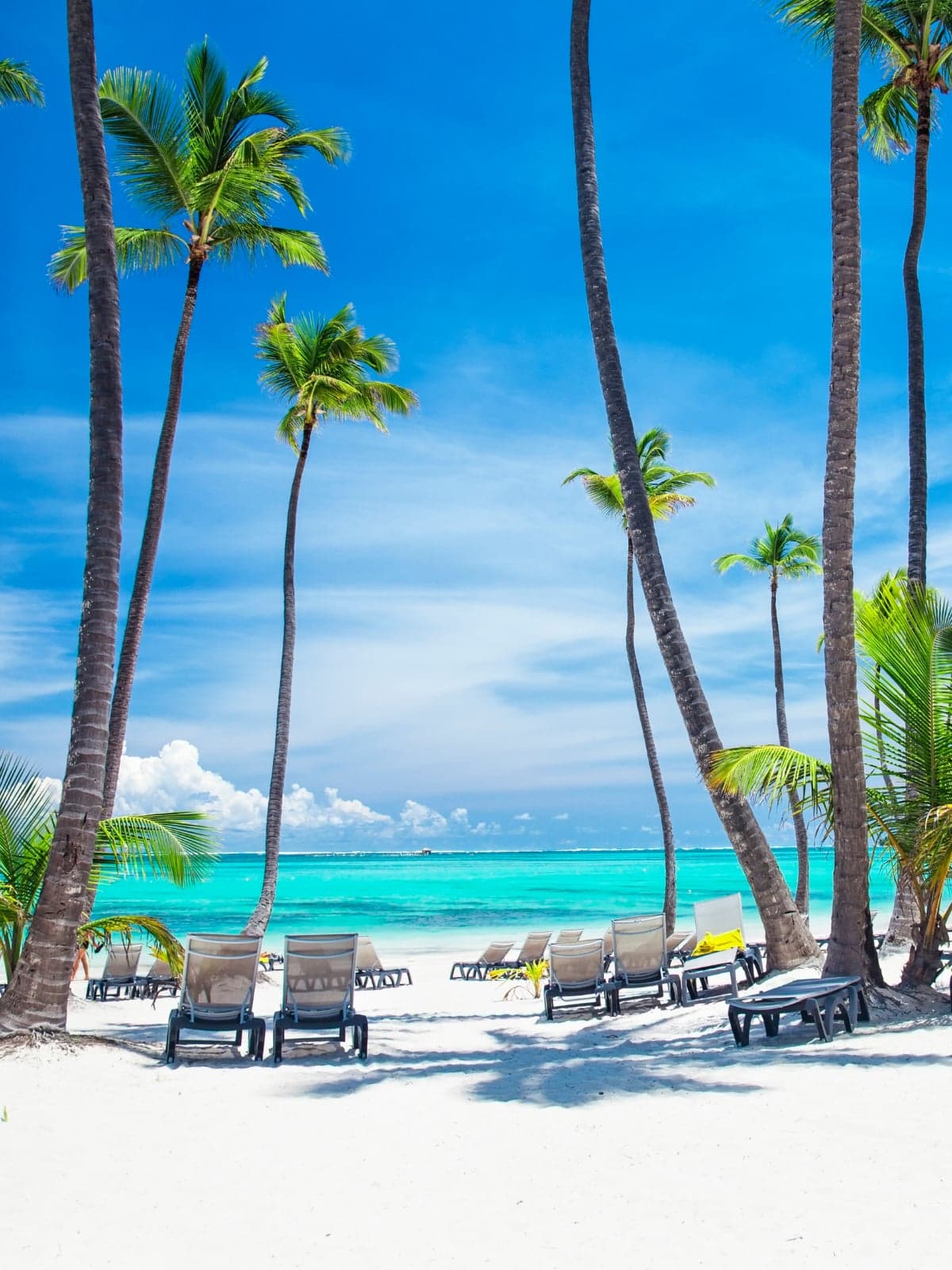 Flight to Punta Cana