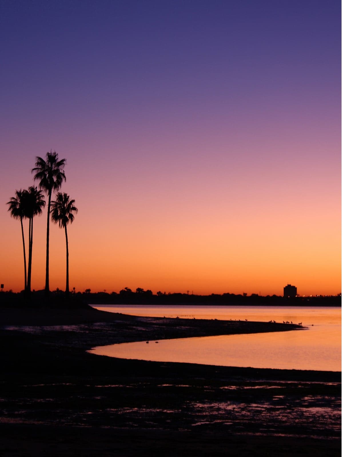 San Diego waterfront and skyline