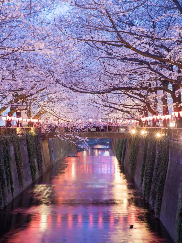 Tokyo destination