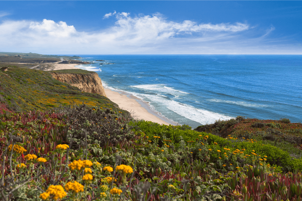 California coast beaches San Diego Santa Barbara - summer travel from Dallas
