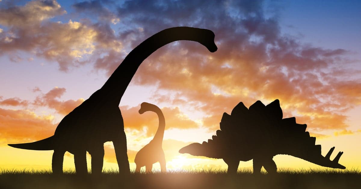 Dinosaur tracks in the riverbed at Dinosaur Valley State Park