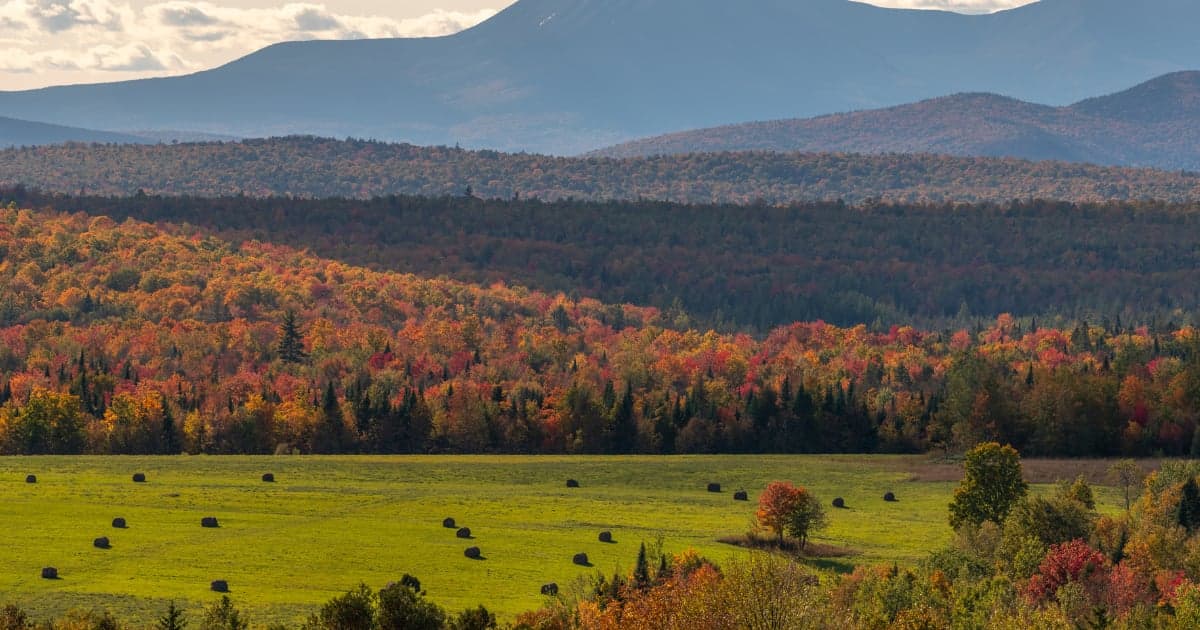 Thanksgiving autumn foliage with travel theme