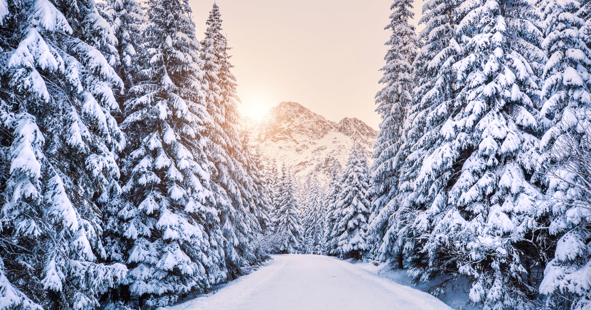 Winter getaway destinations featuring Saint Thomas and Los Angeles