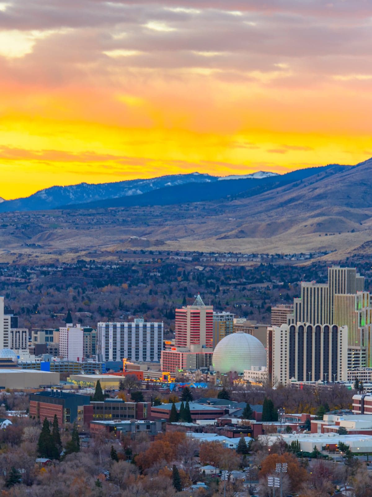 Flight to Reno