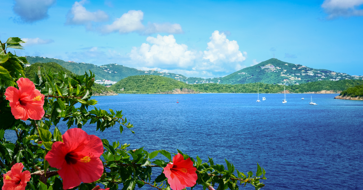 Beautiful Saint Thomas beach with turquoise water and tropical scenery